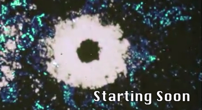 &ldquo;Starting Soon&rdquo; graphics are common in online shows, but ones with sound, movement, even countdown timers are also possible