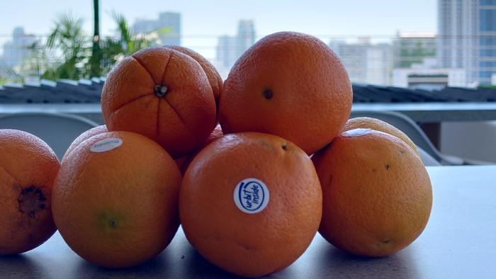 The oranges were some kind of inside joke I wasn&rsquo;t in on, but it was nice to have the vitamin C