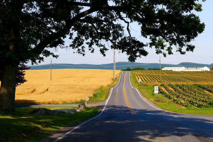 A Pennsylvania road extends past farmlands<br>
to old mountains in the distance<br>
[photo credit: Steve Hogan]